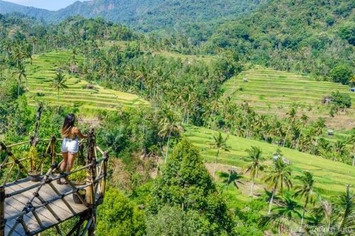 Woman admiring rice terraces, Bali Indonesia